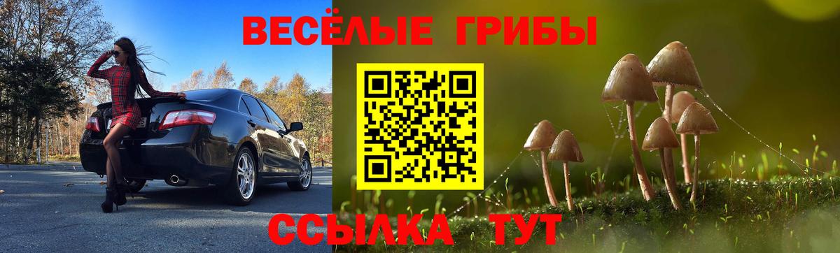 Чапаевск  Псилоцибиновые грибы ЛСД  Псилоцибиновые грибы ЛСД  Вход с VPN 