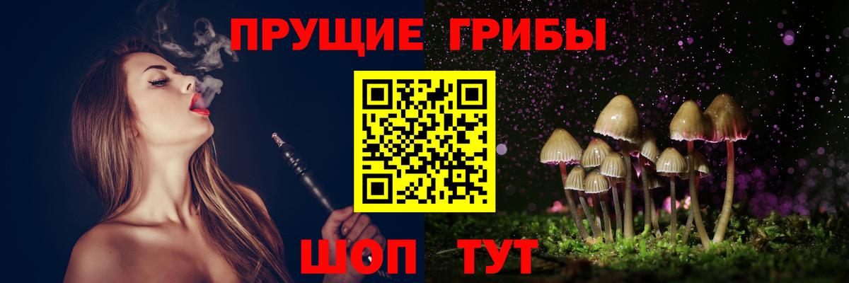 Псилоцибиновые грибы GOLDEN TEACHER Чапаевск